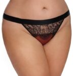 Slip aus Tüll bordeaux