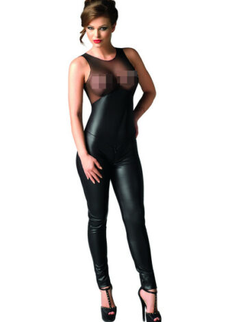 Wetlook Catsuit