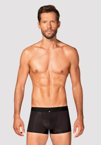 Briefs