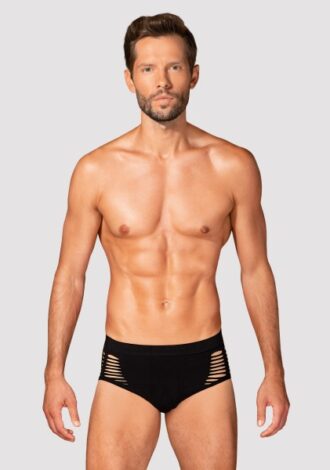 Briefs