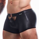 Boxer mit Ring